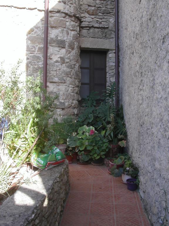 La Rosa