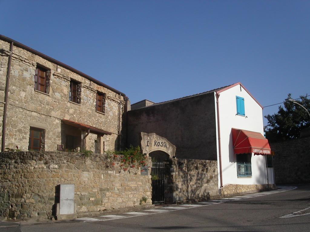 La Rosa Pauli Arbarei